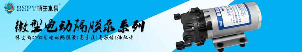 DP泵像素banner.jpg